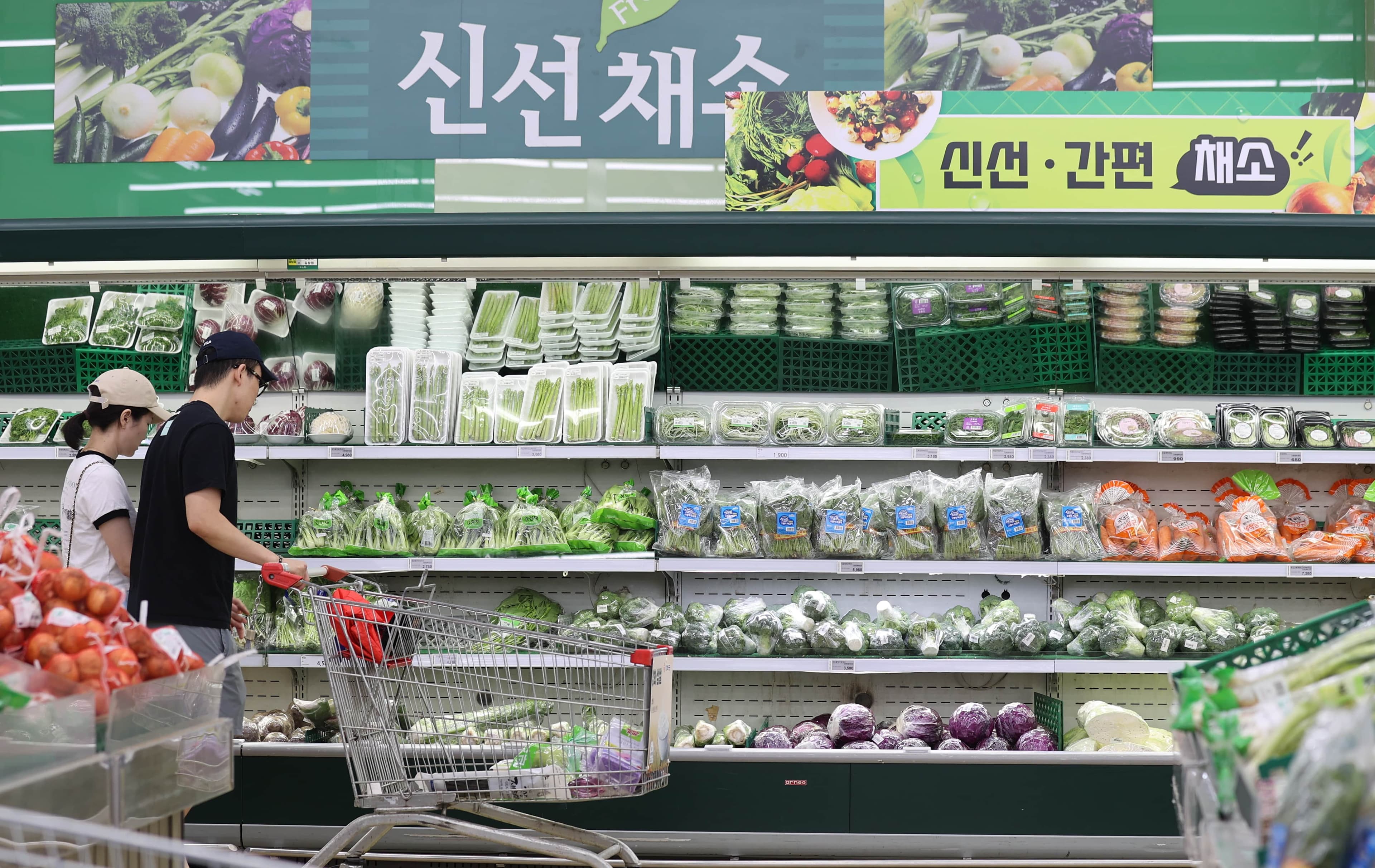 역대 최악의 폭염, 물가 상승에 전력난도?