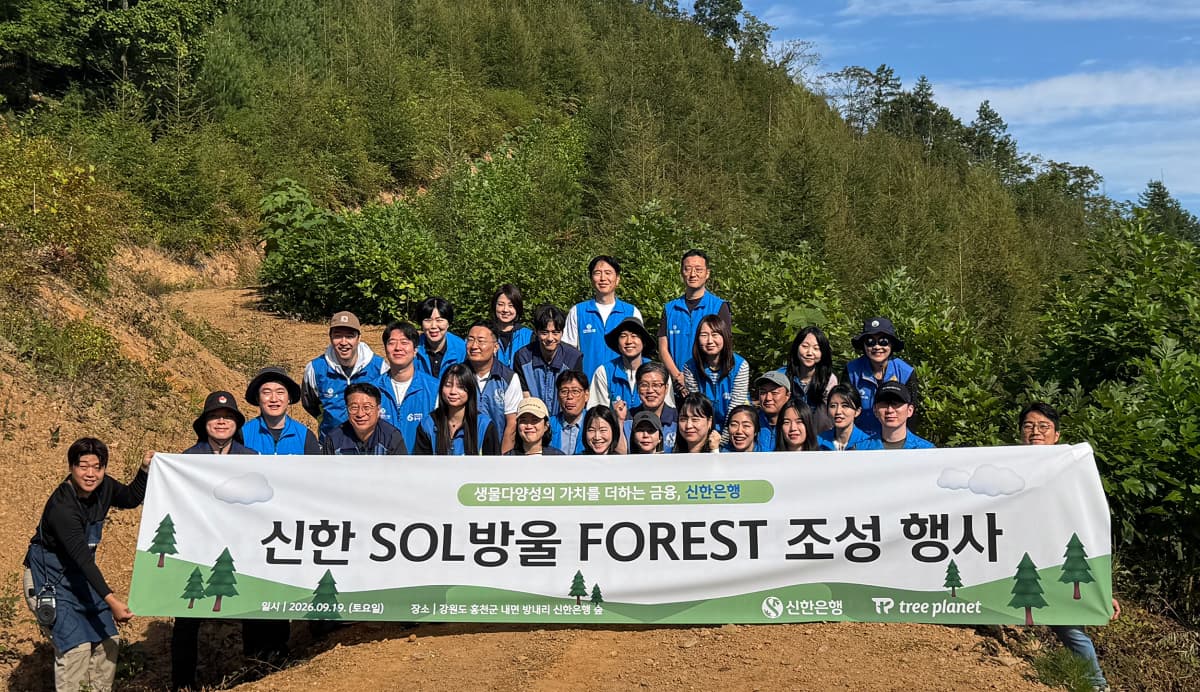 신한은행, 홍천 구상나무 숲 2차 식재 확대