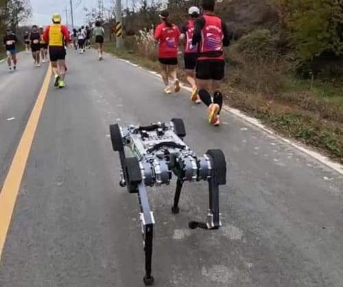 KAIST 로봇개 마라톤 완주, 네이처 게재