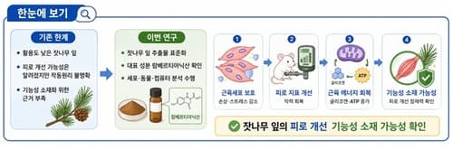 한의학연, 잣나무잎 근육 피로 개선 확인