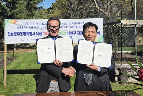 전남광주농기원 골드키위 '해금', 남반구 3개국 상업화