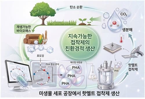 KAIST, 대장균으로 바이오 접착제 개발